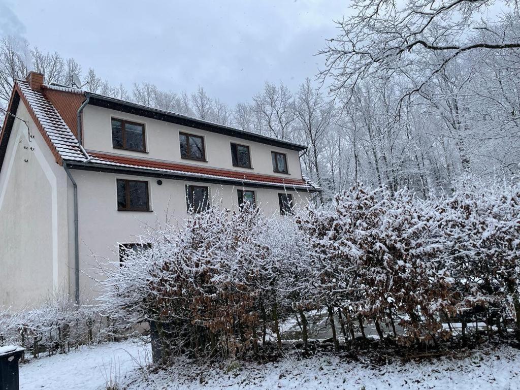 Apartment Am Hochwald Reinhardtsdorf-Schona Экстерьер фото