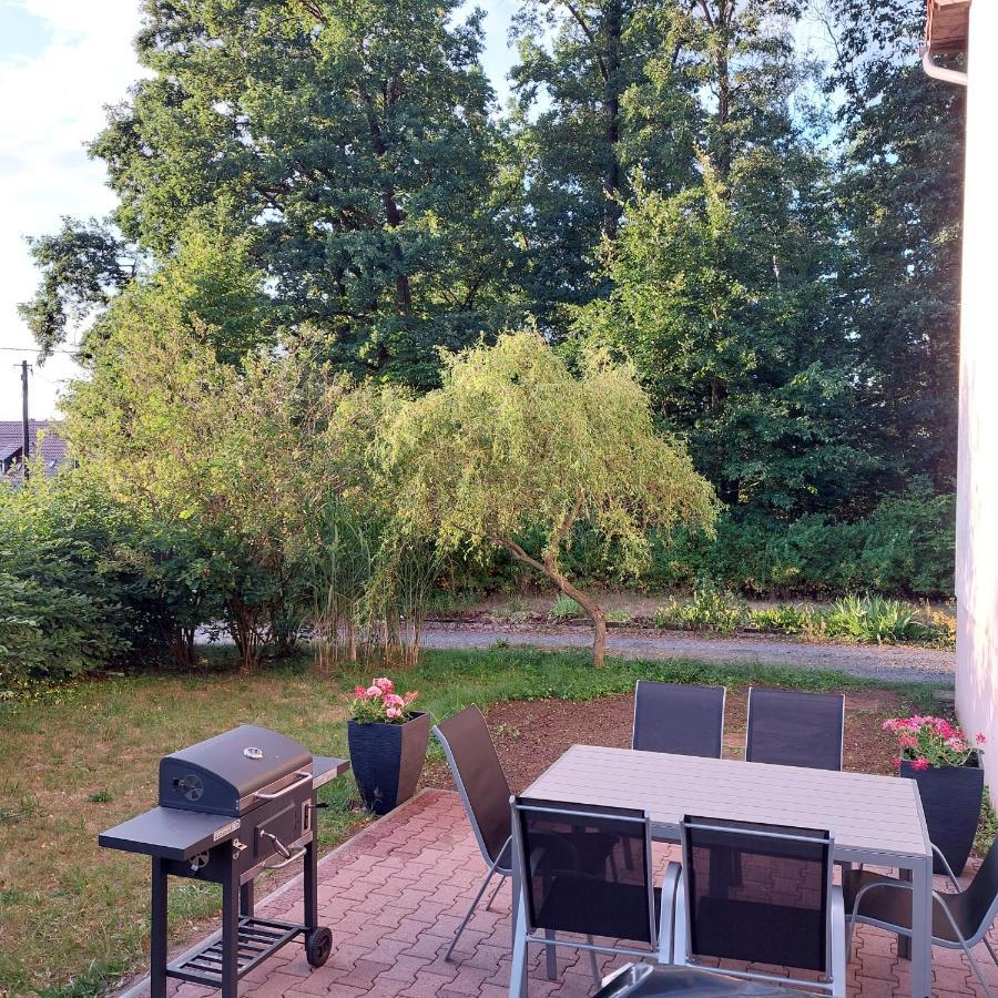 Apartment Am Hochwald Reinhardtsdorf-Schona Экстерьер фото